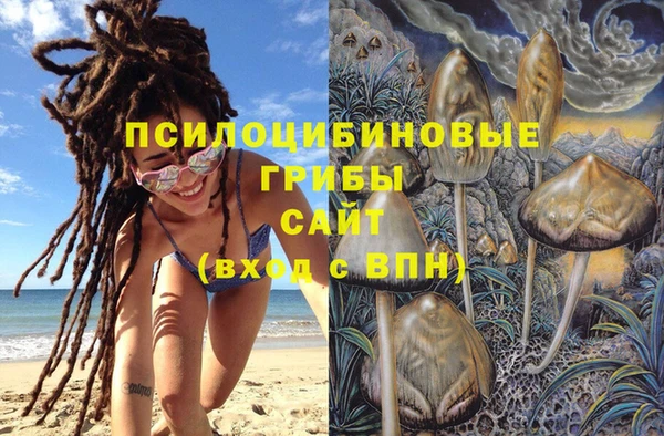 крисы Алексеевка