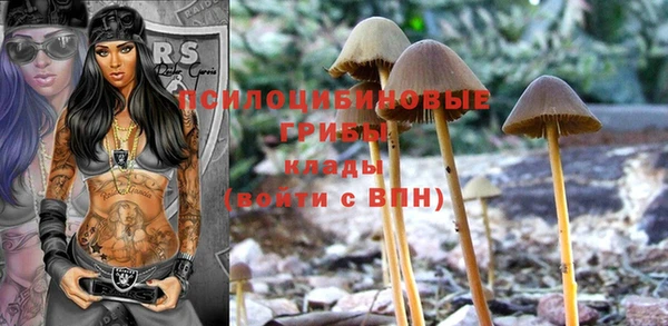 кристаллы Алзамай