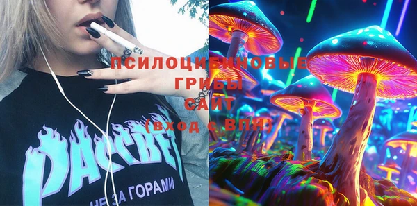 прущие грибы Абинск