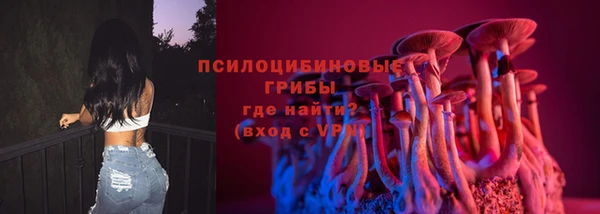 крисы Алексеевка