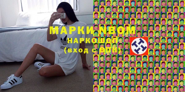 прущие грибы Абинск