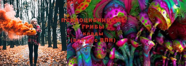 apvp Абаза