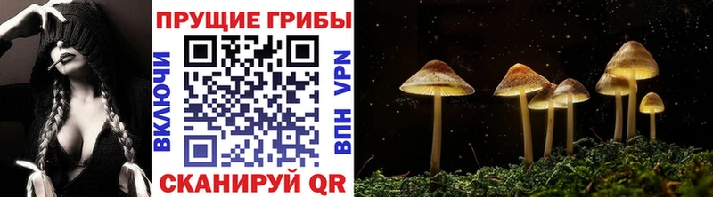 Псилоцибиновые грибы мицелий  наркошоп  Ладушкин 